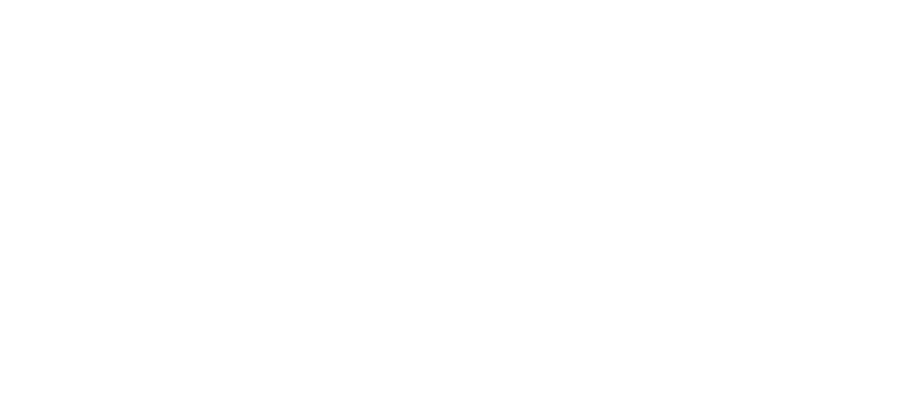 Saras Analytics